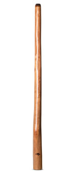 Tristan O'Meara Didgeridoo (TM337)